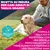 Eukanuba Premium Nutrition Adult Large & Giant Breed Agnello & Riso