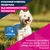 Eukanuba Premium Nutrition Mature Small Breed, kurczak