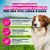 Eukanuba Premium Nutrition Senior Small & Medium Breed Agnello & Riso