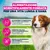 Eukanuba Premium Nutrition Senior Small & Medium Breed Agnello & Riso