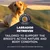 Eukanuba Adult Breed Care Specific Labrador Retriever