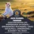 Jack Russell Terrier. Odpowiednio dostosowana w celu wspomagania wysokiej ruchliwości oraz szczupłej, umięśnionej sylwetki tej rasy. Odpowiednia także dla Parson Russell Terriera, foksteriera oraz border terriera. Jack Russell Terrier. Odpowiednio dostosowana w celu wspomagania wysokiej ruchliwości oraz szczupłej, umięśnionej sylwetki tej rasy. Odpowiednia także dla Parson Russell Terriera, foksteriera oraz border terriera.