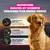 Animonda Carny Adult Mixed Pack 12 x 400 g Animonda Carny Adult Mixed Pack 12 x 400 g