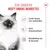 Royal Canin Kitten Instinctive in Gelei