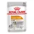 ROYAL CANIN Coat Care, 85 g, mokra karma dla psów wszystkich rozmiarów. Na opakowaniu pies, tekst: Healthy & Shiny Coat, Loaf – Mousse, Canine Care Nutrition.
