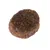 Close-up of a brown, round dry food piece with a granular texture.