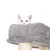 Chat blanc allongé sur une plateforme grise en tissu d’un arbre à chat avec poteaux recouverts de corde.