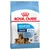 Royal Canin Starter Mother & Babydog Maxi koiranruokapakkaus, aikuispaino 26–44 kg, näkyvissä kaksi koiraa ja nappulakuvia, englanninkielistä tuotetietoa etupuolella.
