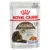 Royal Canin Ageing 12+ aliment pour chats en gelée, 85g. Pour chats seniors à partir de 12 ans. Petits morceaux en gelée.