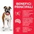 BENEFICI PRINCIPALI: basso contenuto calorico e L-Carnitina per il peso forma, controllo del senso di sazietà, Omega-6 e vitamina E per la salute di cute e mantello. Boxer marrone con collare rosso.