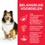 BELANGRIJKE VOORDELEN: hoge verteerbaarheid, vitamine E & omega 6-vetzuren voor de huid, prebiotische vezel voor darmbacteriën en gebalanceerd microbioom. Tekst in het Nederlands.