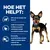 Infografik: 96% der Hunde nahmen zu Hause ab, hilft beim Halten des Gewichts und gibt Energie zum Spielen, einfaches Abnehmen ohne starke Reduktion der Portionsgröße.