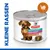 Hill's Science Plan Perfect Weight Small & Mini Adult 1+ tot 10 kg met kalkoen mousse hondenvoer, blik met afbeelding kleine hond en tekst 'KLEINE RASSEN'. Hill's Science Plan Perfect Weight Small & Mini Adult 1+ tot 10 kg met kalkoen mousse hondenvoer, blik met afbeelding kleine hond en tekst 'KLEINE RASSEN'.