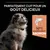 Texte : Parfaitement cuit pour un goût délicieux. N°1 ingrédient saumon. Illustration d’un poisson à côté d’un chien assis, pelage épais et collier visible.