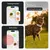 Weenect Pet GPS Tracker XS för katter