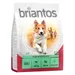 Briantos Adult agneau, riz pour chien - 1 kg