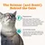 Zesty Paws Cat Calming Diffuser Kit Orchid Mist - 30g Zesty Paws Cat Calming Diffuser Kit Orchid Mist - 30g