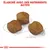 Croquettes de forme arrondie, environ 1 cm, texte visible : « Élaboré avec des nutriments actifs » en haut de l’image. Marque non explicitement indiquée.