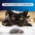 Ever Clean® Extra Strong Clumping Cat Litter - Scented