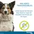 Collier antiparasitaire Seresto® pour grand chien