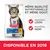 Hill’s Science Plan Oral Care Adult 1+ au poulet, même qualité nutritionnelle et goût, nouveau look, nouveau nom, disponible en 2019. Texte en anglais sur l’emballage.