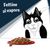 Felix Fettine al vapore 12 x 80 g Alimento umido per gatto
