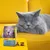 Sac de croquettes Josera Léger ADULT avec photo de chat gris, croquettes visibles devant l’emballage. Chat gris allongé sur un canapé jaune en arrière-plan.