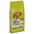 Bag showing Purina Beta Adult with chicken, for ages 1+ years. Highlights: new improved recipe, no added artificial colours, flavours or preservatives, prebiotic for digestive health, 14kg.