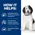 How it helps: formulated to dissolve struvite stones and lower recurrence risk, lowers risk of calcium oxalate stones, helps maintain a healthy bladder. Dog shown beside text.