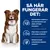 Så här fungerar det: Med bioaktiva substanser och fytonutrienter, höga nivåer av omega-3 och omega-6 fettsyror, kliniskt bevisade antioxidanter inklusive vitamin E.
