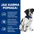 Jak karma pomaga: efekt uspokajający, wsparcie trawienia i jakości stolca, aktywność bakterii jelitowych, długoterminowe wsparcie odporności. Pies w niebieskiej obroży.