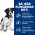 Så här fungerar det: Mycket lättsmält sammansättning med hydrolyserat mjölkprotein, unik prebiotisk blandning och ingefära, berikat med antioxidanter och omega-3 från fiskolja.