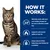 How it works: naturally works with your cat’s unique energy use for weight loss, supports natural fat burning, and a unique fibre blend helps cats feel full and satisfied.