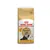 Royal Canin Persian Adult macskaeledel, 12 kg csomag, 10 kg + 2 kg ingyen. Csomagon perzsa macska képe és látható: 240 adag.