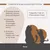thrive ProTaste 100% Chicken Food Topper for Cats - 170g thrive ProTaste 100% Chicken Food Topper for Cats - 170g