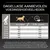 Voedingsschema voor honden: Aanbevolen dagelijkse hoeveelheden in gram naar gewicht (25–90 kg) en activiteit (<1 uur of 1–3 uur). Voorbeeld: 25 kg, <1 uur: 320 g, 1–3 uur: 370 g.