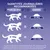 Tableau des quantités journalières recommandées : chat 4–6 kg 55–80 g, 6–8 kg 80–105 g, 8–10 kg 105–130 g. Conseils d’ajustement et eau fraîche indiqués.