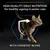 HIGH QUALITY DAILY NUTRITION for healthy ageing in senior cats. WITH LONGEVIS BLEND