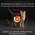Nutrizione quotidiana di alta qualità per supportare le funzioni vitali fondamentali del gatto: cervello, sistema immunitario, apparato renale. Immagine con gatto e scudo con segno di spunta.