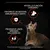 Apoya la función cerebral, favorece un sistema inmunitario fuerte y promueve unos riñones saludables. Imagen de gato con iconos y texto explicativo sobre beneficios. Apoya la función cerebral, favorece un sistema inmunitario fuerte y promueve unos riñones saludables. Imagen de gato con iconos y texto explicativo sobre beneficios.