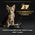 Science based nutrition developed with Purina veterinarians. Switch to the PRO PLAN ADULT range after 1+ years. PURINA PRO PLAN branding visible on cat food bowl.