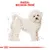 Illustrazione di un cane Bichon Frisé con testo in alto: 'Razza: Bichon Frisé'.