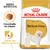 Royal Canin Adult Bichon Frise, crocchetta su misura, salute del sistema urinario. Immagine di un cane Bichon Frise sulla confezione. Royal Canin Adult Bichon Frise, crocchetta su misura, salute del sistema urinario. Immagine di un cane Bichon Frise sulla confezione.