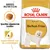 Royal Canin Adult Bichon Frise hondenvoer, specifiek afgestemde brokken, gezondheid van de urinewegen, afbeelding van een witte Bichon Frise hond op de verpakking.