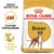 Sac hrană ROYAL CANIN ADULT Boxer, imagine cu croșetă, text: Crochete individualizate, Masă musculară ideală, BREED NUTRITION, câine boxer ilustrat pe ambalaj.