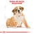 Texto visível: GAMA DE RAÇA: BULDOGUÊ. Ilustração de um cachorro sentado com linhas de esboço ao fundo e símbolo gráfico vermelho na parte inferior.