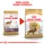 Image showing Royal Canin Cocker Adult food packaging changing to a new design with the text 'New look, same formula'. Both old and new packs are displayed side by side.