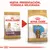 Cambio de envase y fórmula mejorada de Royal Canin para cachorros Cocker, muestra dos sacos: uno con etiqueta 'Junior' y otro con 'Puppy', ambos para hasta 12 meses.