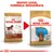 Royal Canin Bassotto (Dachshund) Puppy Crocchette per cane Royal Canin Bassotto (Dachshund) Puppy Crocchette per cane