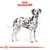 Illustratie van een Dalmatier met zwarte vlekken, bovenaan staat in rode letters: Ras: Dalmatiër.